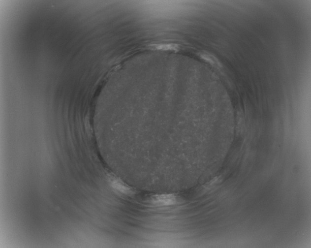 X0000063500377200602101905