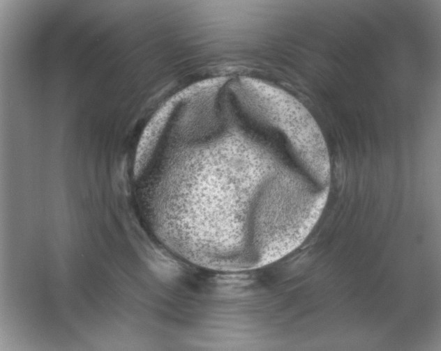 X0000063500378200602101905