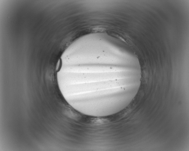 X0000063500379200602101905