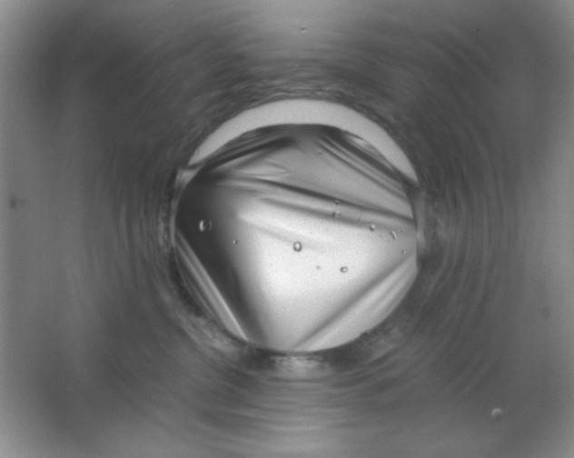 X0000063500380200602101905