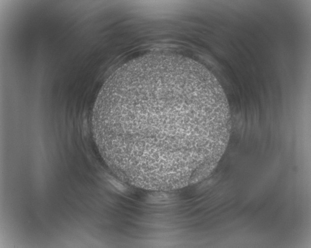 X0000063500381200602101905