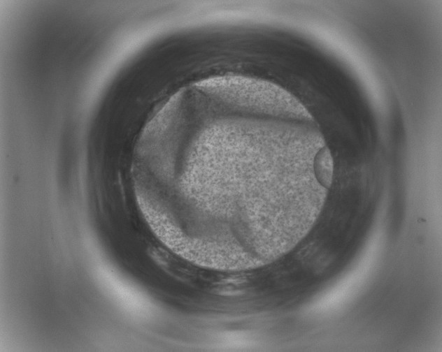 X0000063500382200602101905