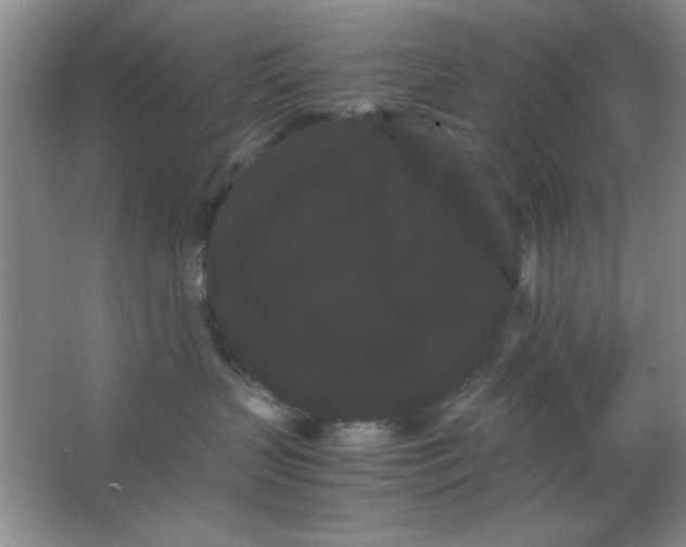 X0000063500383200602101905