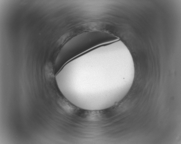 X0000063500384200602101906