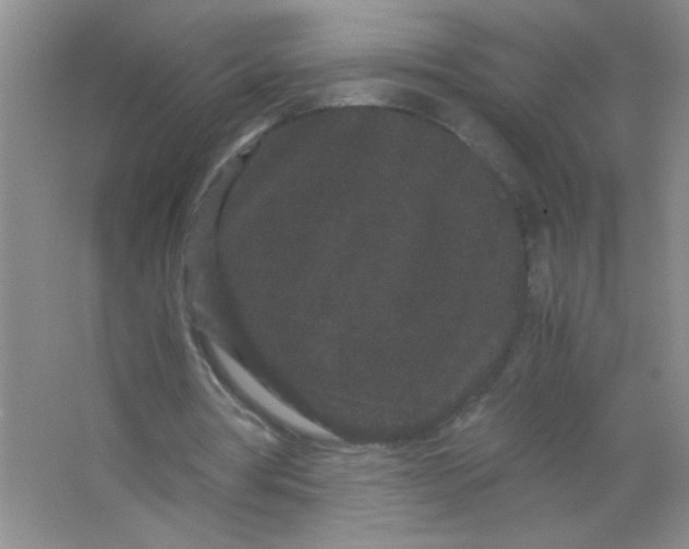 X0000063500386200602101905