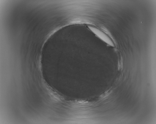 X0000063500387200602101905