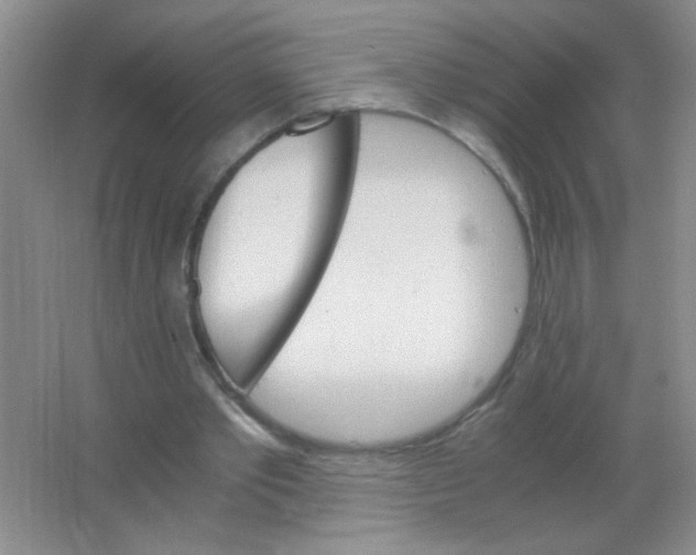 X0000063500389200602101905