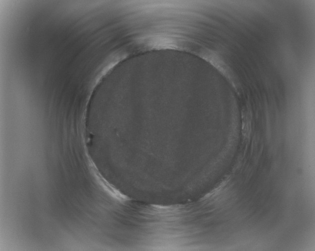 X0000063500390200602101905