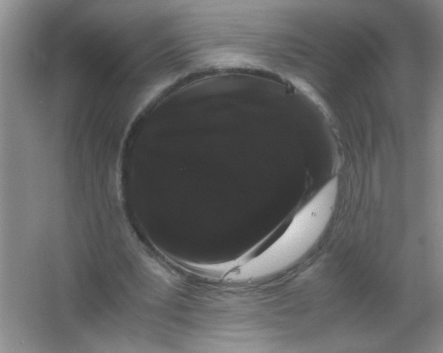 X0000063500391200602101905