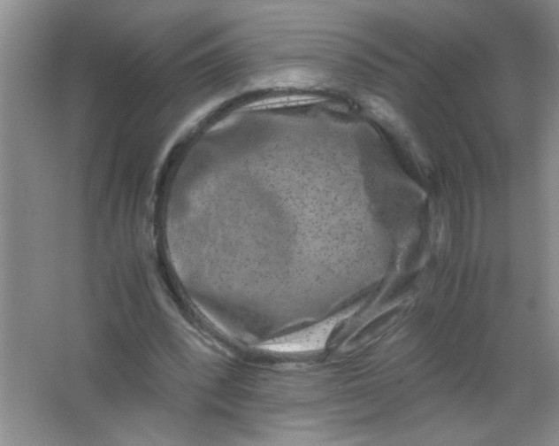 X0000063500392200602101905