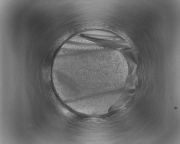 X0000063500393200602101905