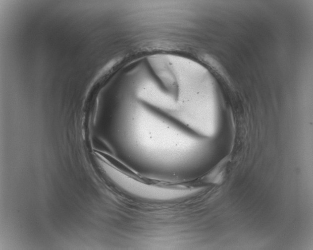 X0000063500395200602101905