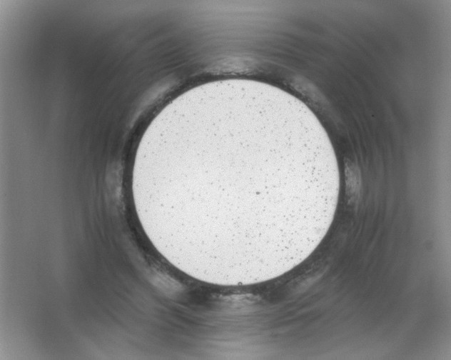 X0000063500396200602101905