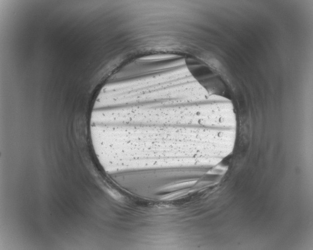 X0000063500397200602101904