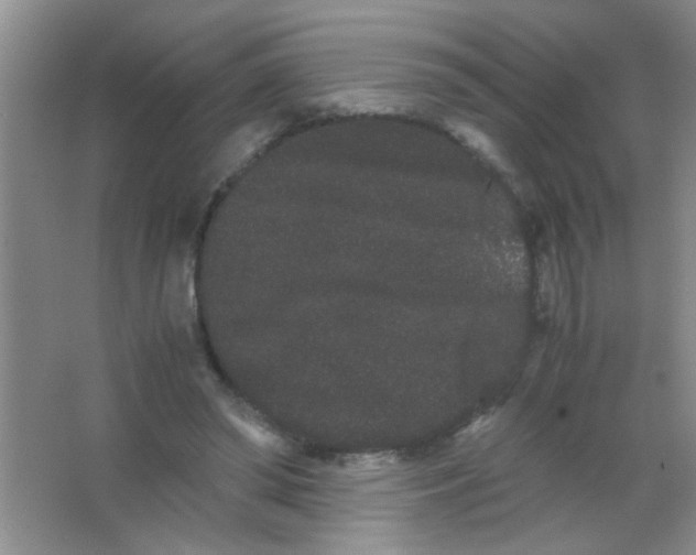 X0000063500398200602101904