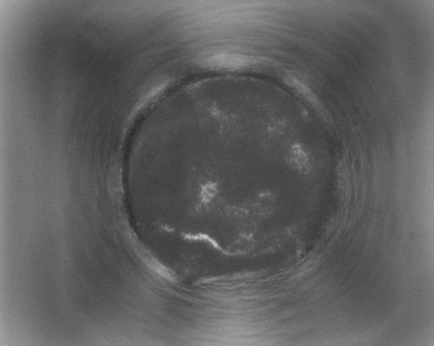 X0000063500399200602101904