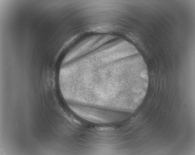 X0000063500400200602101904