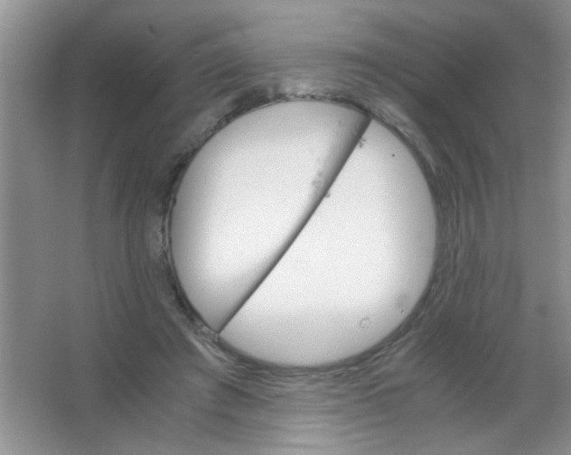 X0000063500401200602101904