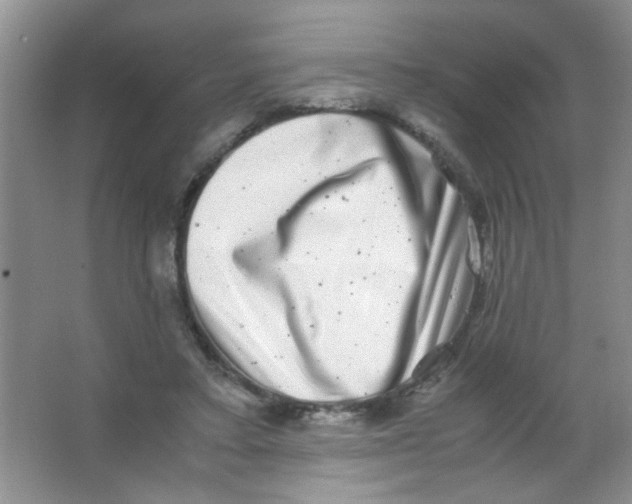 X0000063500403200602101904