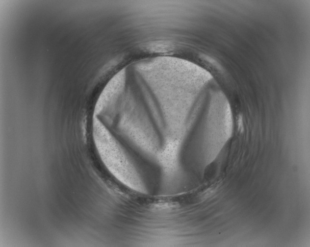 X0000063500404200602101904