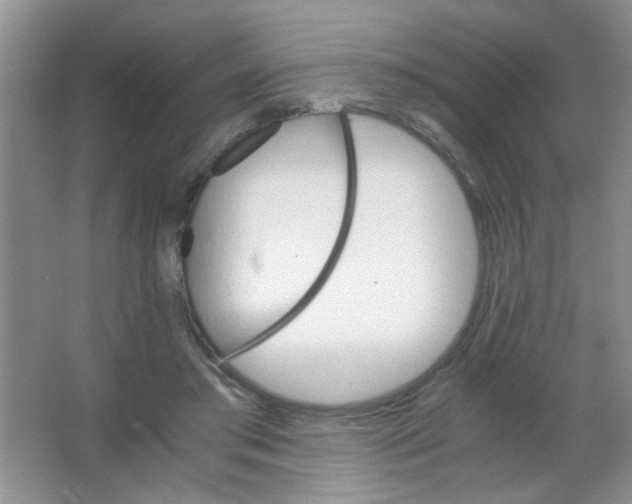 X0000063500405200602101904