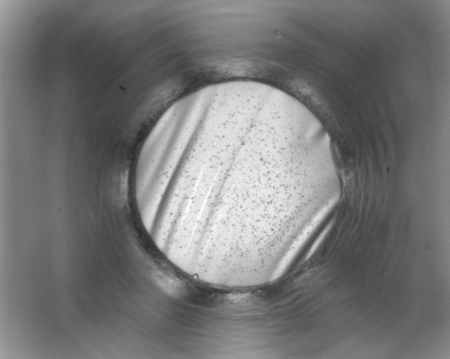 X0000063500406200602101904