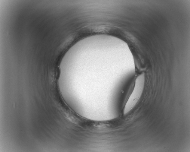 X0000063500407200602101904