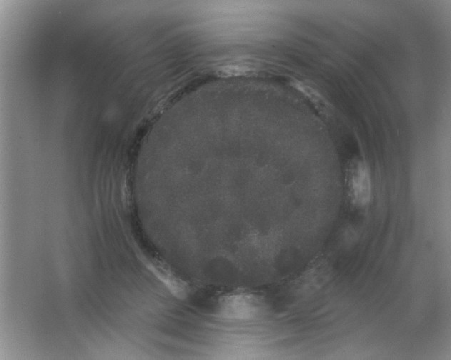 X0000063500408200602101904