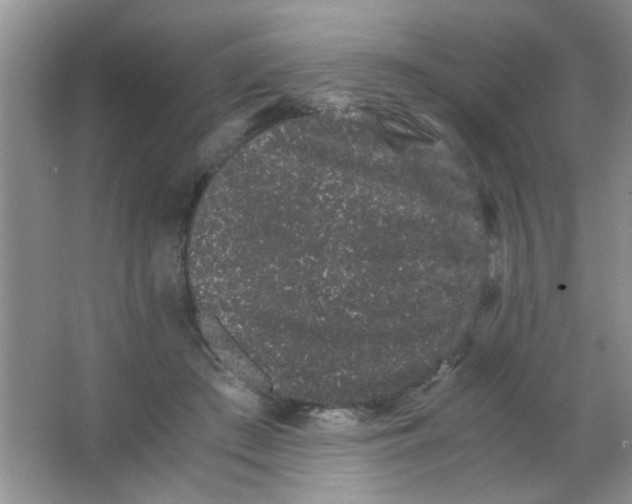 X0000063500409200602101904