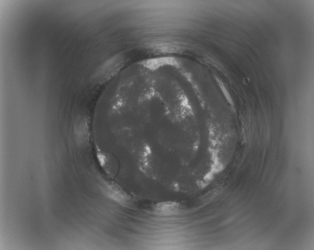 X0000063500410200602101904