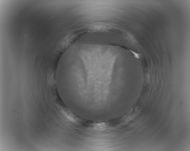 X0000063500411200602101904