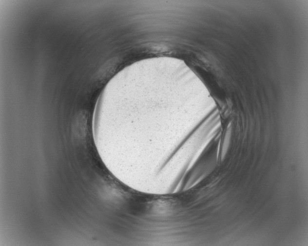 X0000063500412200602101904