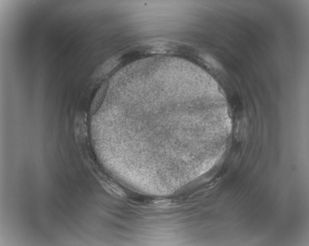 X0000063500413200602101904