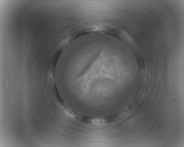 X0000063500415200602101904