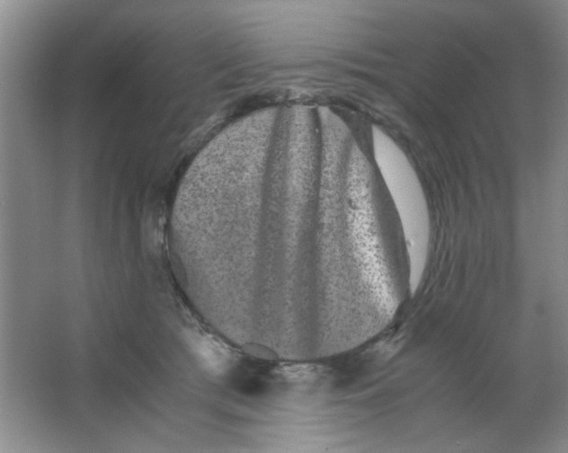 X0000063500417200602101904