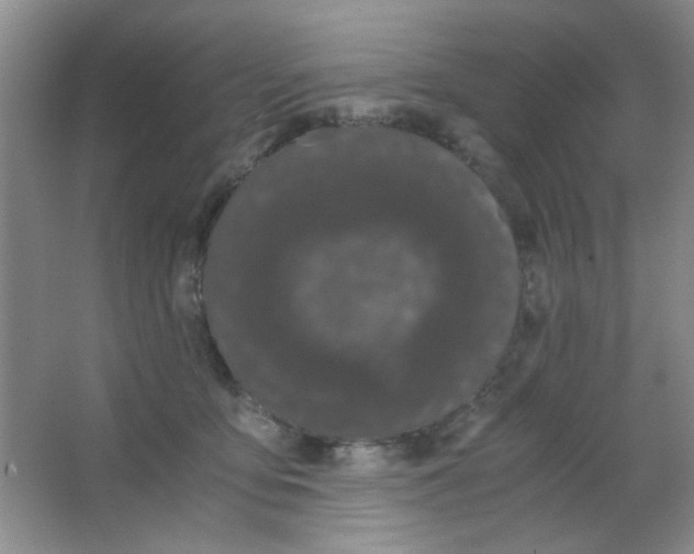 X0000063500419200602101904