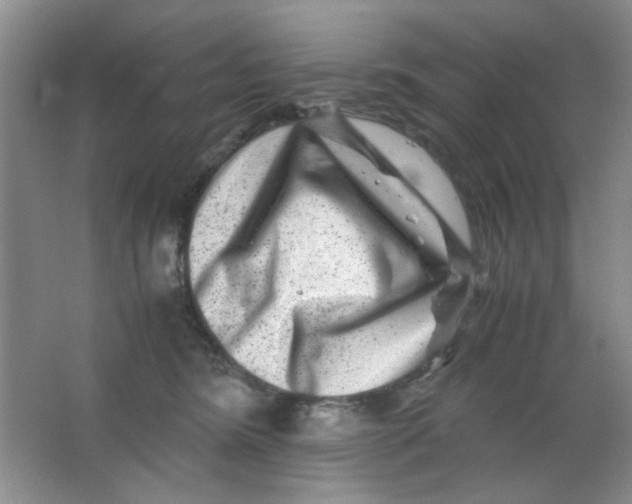 X0000063500420200602101904