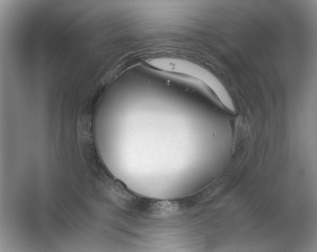 X0000063500421200602101904