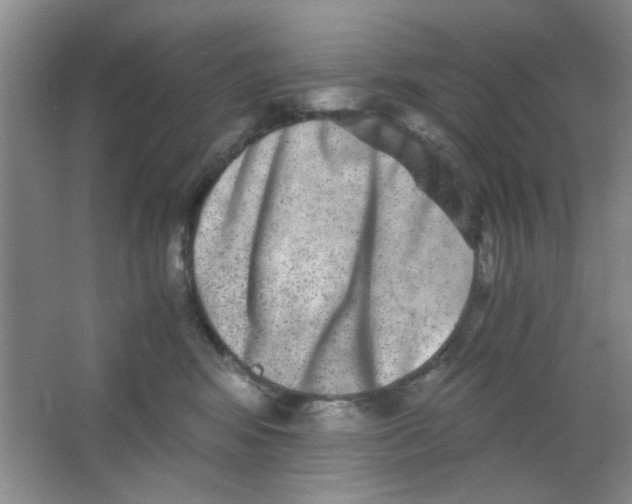 X0000063500424200602101904