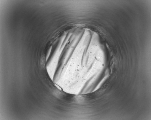 X0000063500425200602101904