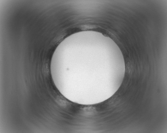 X0000063500426200602101904