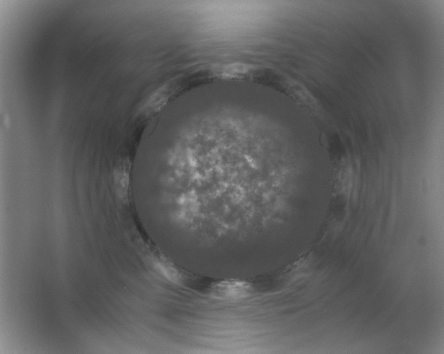 X0000063500427200602101904