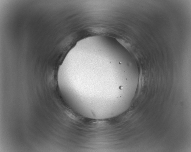 X0000063500428200602101904