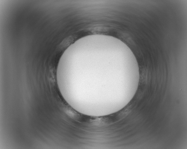 X0000063500430200602101904