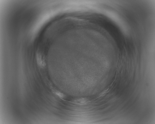 X0000063500431200602101904