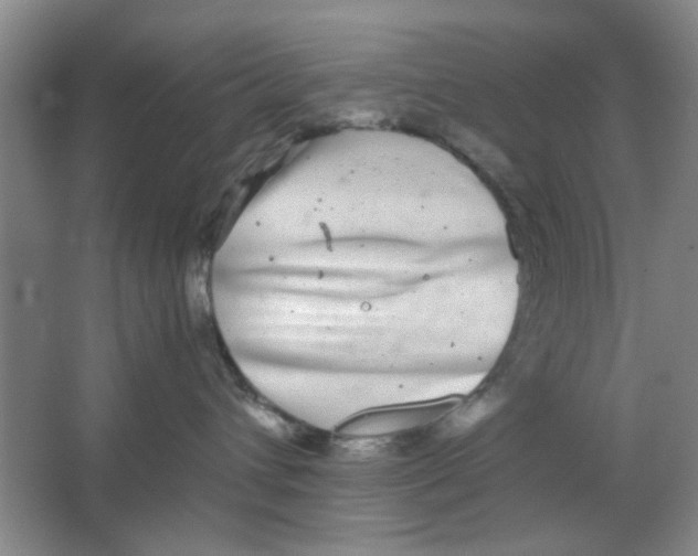 X0000063500432200602101904