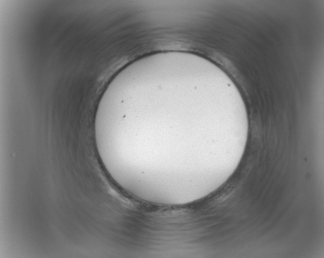 X0000063500433200602101903