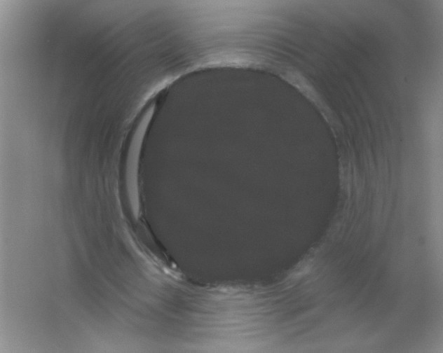 X0000063500434200602101903