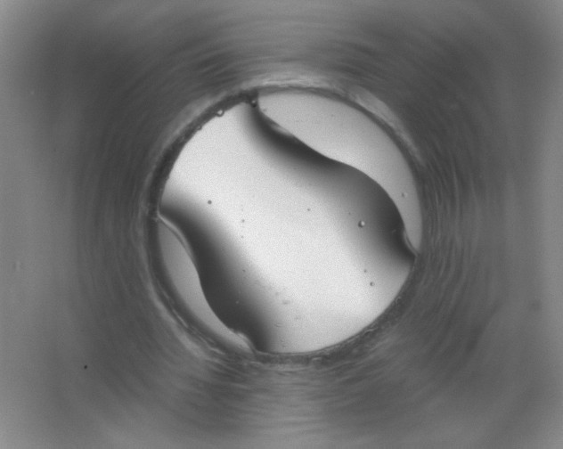 X0000063500436200602101903