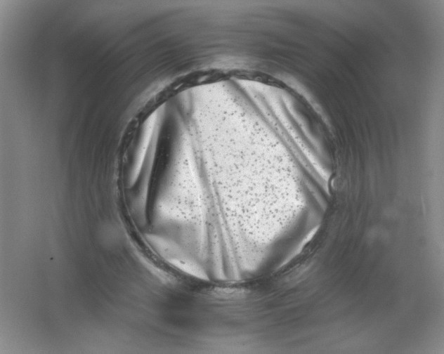 X0000063500437200602101903